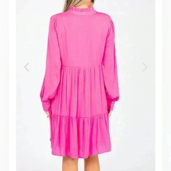 Karlie New With Pink Tags Tonal Dot Long Sleeve Dress - Picture 2 of 10